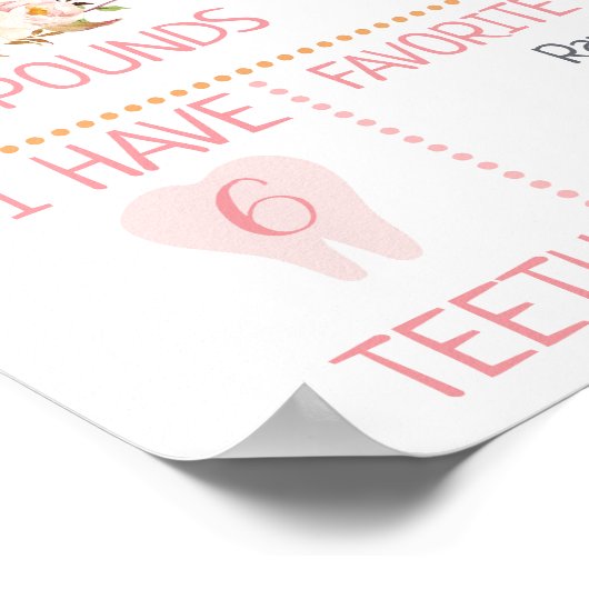 Pink Floral Woodland Birthday Milestone Poster (Hoek)