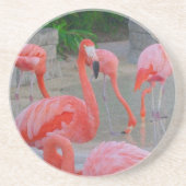 Pink Florida Flamingos Watercolor Zandsteen Onderzetter (Voorkant)