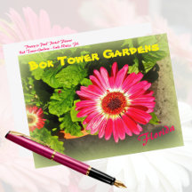 Pink Flower Bok Tower Gardens Lake Wales