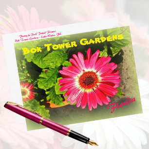 Pink Flower Bok Tower Gardens Lake Wales Briefkaart