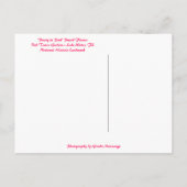 Pink Flower Bok Tower Gardens Lake Wales Briefkaart (Achterkant)