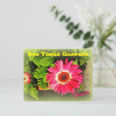 Pink Flower Bok Tower Gardens Lake Wales Briefkaart (Staand voorkant)