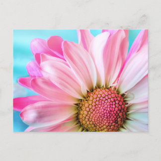 Pink flower briefkaart