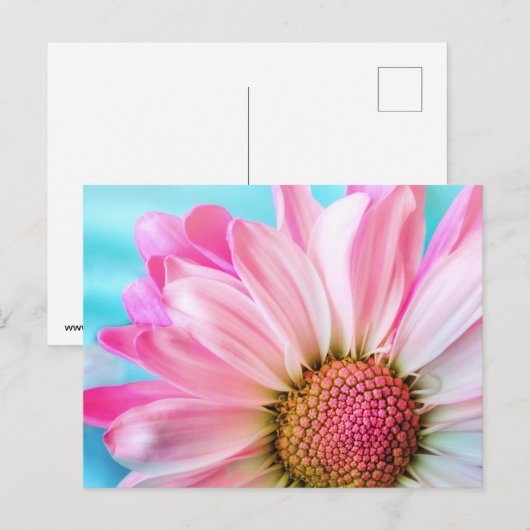 Pink flower briefkaart (Voorkant / Achterkant)