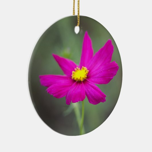 Pink Flower Ornament (Rechts)