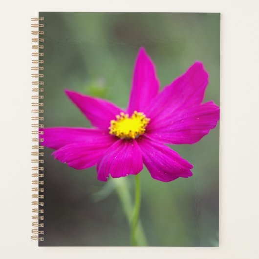Pink Flower Planner (Voorkant)