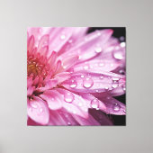 Pink Flower Super Macro met regendruppels Canvas Afdruk (Voorkant)
