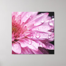 Pink Flower Super Macro met regendruppels