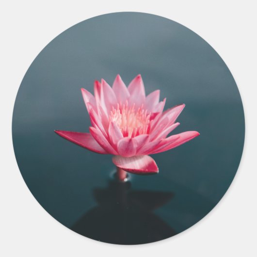 Pink Flower Wenskaart set Ronde Sticker (Voorkant)