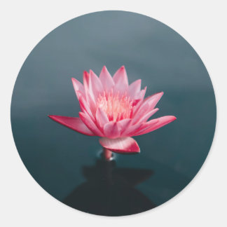 Pink Flower Wenskaart set Ronde Sticker