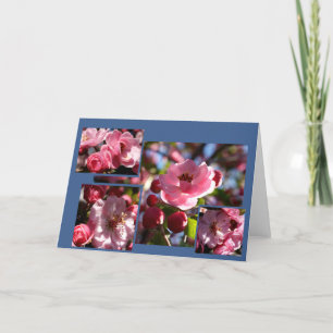 Pink Flowers Any Occasion Card Kaart