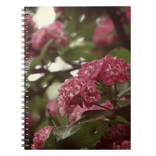 Pink Flowers Blosoom Photo Notitieboek (80 pagina' (Voorkant)