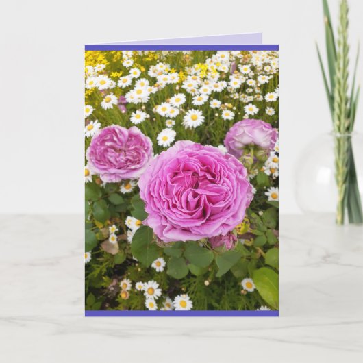 Pink Flowers Floral Roos Rozen Daisy Foto Kaart (Voorkant)