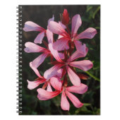 Pink Flowers Photo Notitieboek (80 pagina's B&W) (Voorkant)