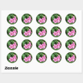 Pink Flowers Roos van Sharon met Bee Ronde Sticker (Vel)