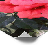 Pink Flowers Value Poster papier (Hoek)