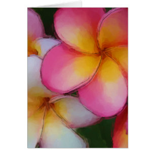 Pink Frangipani Plumeria Flowers