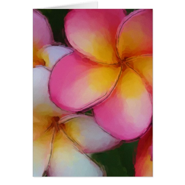 Pink Frangipani Plumeria Flowers (Voorkant)