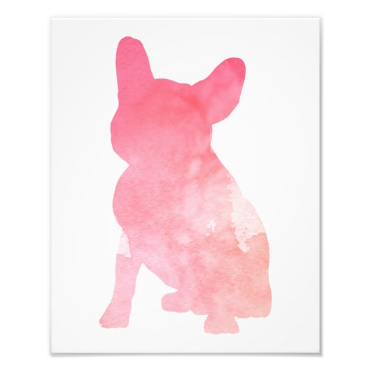 Pink French Bulldog aka Frenchie Foto Afdruk (Voorkant)