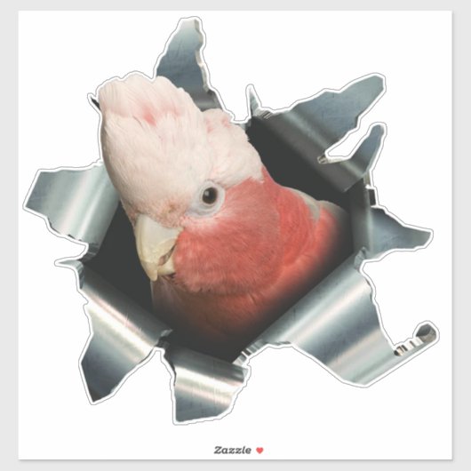 Pink Galah Parrot Sticker – Australian Bird Decal (Vel)