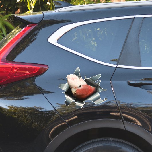 Pink Galah Parrot Sticker – Australian Bird Decal (Auto Zijkant)
