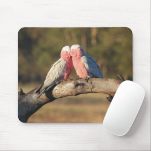 Pink Galahs Muismat