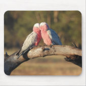 Pink Galahs Muismat (Voorkant)