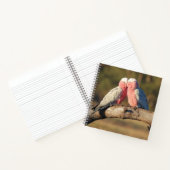 Pink Galahs Notitieboek (Binnen)