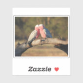 Pink Galahs Sticker (Vel)