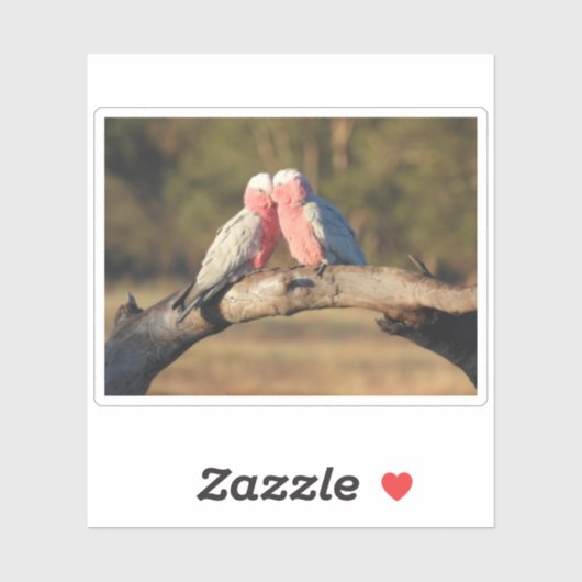 Pink Galahs Sticker (Vel)