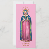 Pink Gaudete Sunday Standing BVM Advent (Voorkant)