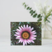 Pink Gazania Briefkaart (Staand voorkant)