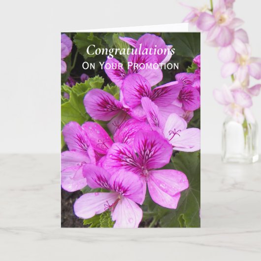 Pink Geraniums Floral Promotion Gefeliciteerd Kaart (Orchidee)