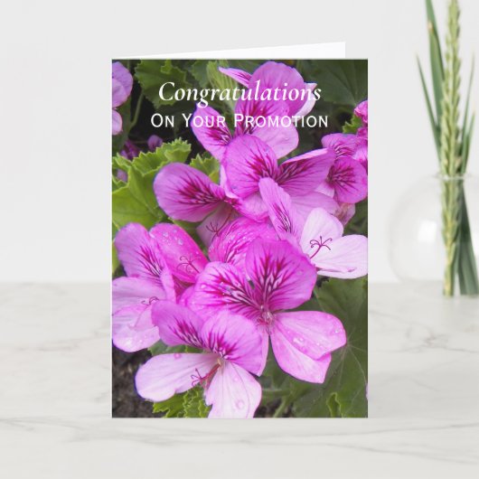 Pink Geraniums Floral Promotion Gefeliciteerd Kaart (Voorkant)