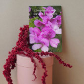 Pink Geraniums Floral Promotion Gefeliciteerd Kaart