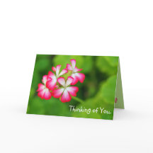 Pink Geraniums | Greeting Card