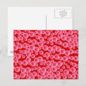 Pink Gerber Daisies Briefkaart (Voorkant / Achterkant)