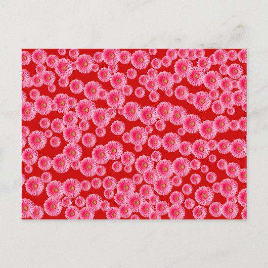 Pink Gerber Daisies Briefkaart (Voorkant)