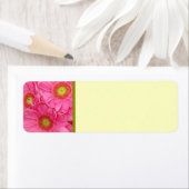 Pink Gerber Daisies Etiket (Insitu)