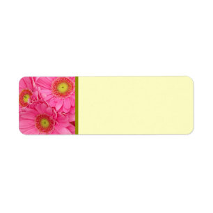 Pink Gerber Daisies Etiket