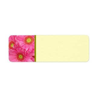 Pink Gerber Daisies Etiket