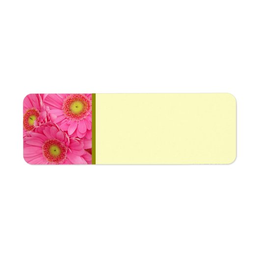 Pink Gerber Daisies Etiket (Voorkant)