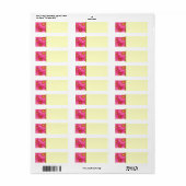 Pink Gerber Daisies Etiket (Full Sheet)