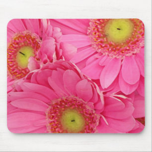Pink Gerber Daisies Muismat