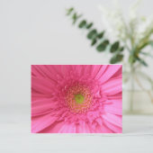 Pink Gerber Daisy Briefkaart (Staand voorkant)