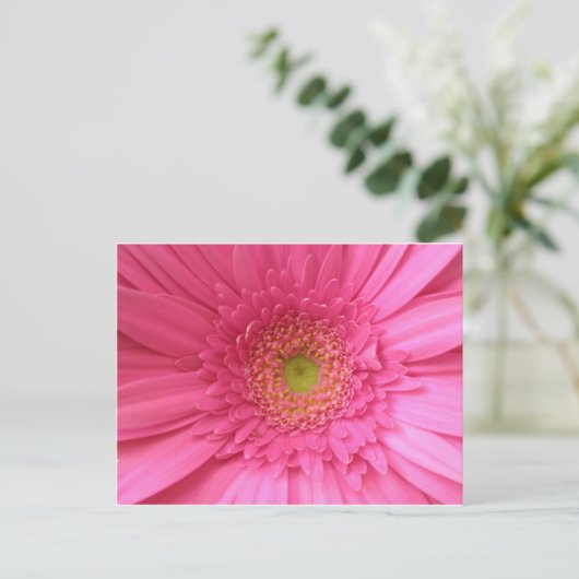 Pink Gerber Daisy Briefkaart (Staand voorkant)