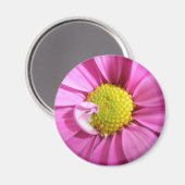 Pink Gerber Daisy Magnet (Voorkant / Achterkant)