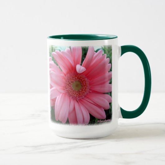 Pink Gerber Daisy Mok (Rechts)