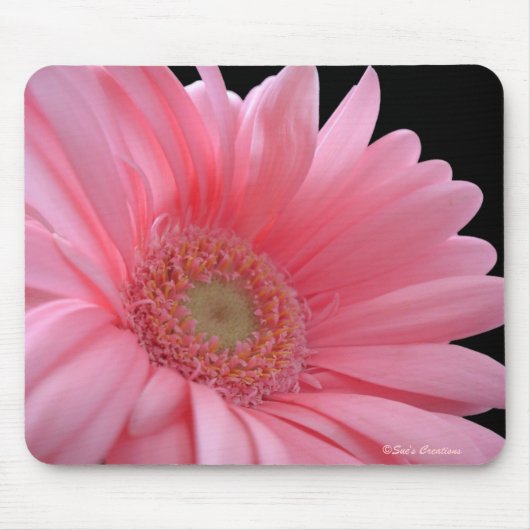 Pink Gerber Daisy Muismat (Voorkant)