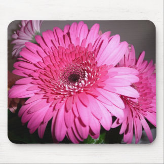 Pink Gerber Daisy Muismat